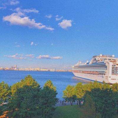 星空app官方版app下载截图