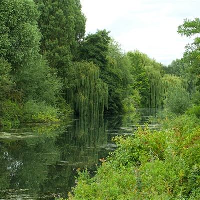 半岛官方网站下载